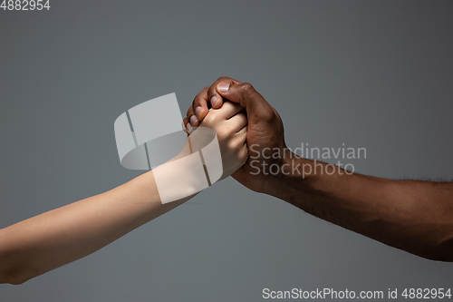 Image of Racial tolerance. Respect social unity. African and caucasian hands gesturing isolated on gray studio background