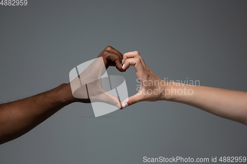 Image of Racial tolerance. Respect social unity. African and caucasian hands gesturing isolated on gray studio background