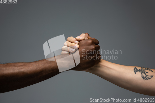 Image of Racial tolerance. Respect social unity. African and caucasian hands gesturing isolated on gray studio background