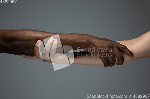 Image of Racial tolerance. Respect social unity. African and caucasian hands gesturing isolated on gray studio background