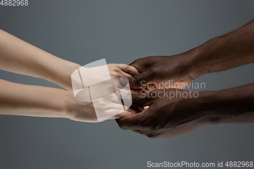 Image of Racial tolerance. Respect social unity. African and caucasian hands gesturing isolated on gray studio background