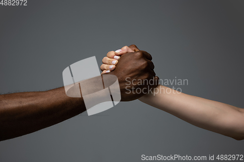 Image of Racial tolerance. Respect social unity. African and caucasian hands gesturing isolated on gray studio background