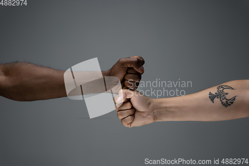 Image of Racial tolerance. Respect social unity. African and caucasian hands gesturing isolated on gray studio background