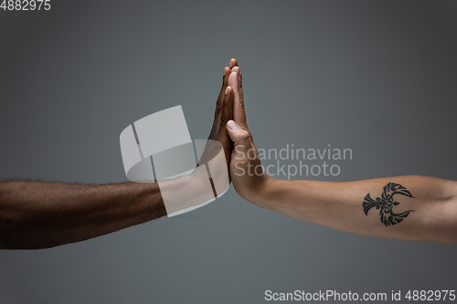 Image of Racial tolerance. Respect social unity. African and caucasian hands gesturing isolated on gray studio background