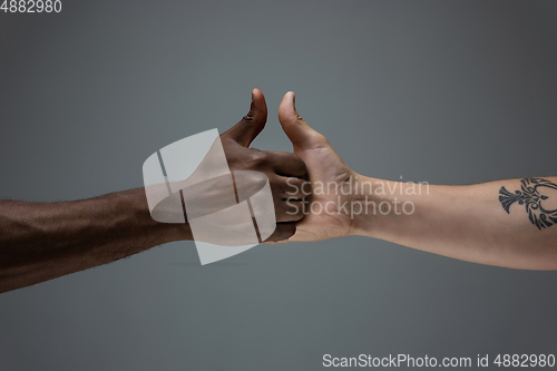 Image of Racial tolerance. Respect social unity. African and caucasian hands gesturing isolated on gray studio background