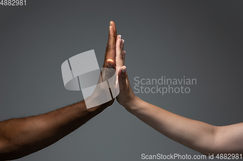 Image of Racial tolerance. Respect social unity. African and caucasian hands gesturing isolated on gray studio background