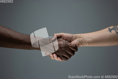 Image of Racial tolerance. Respect social unity. African and caucasian hands gesturing isolated on gray studio background