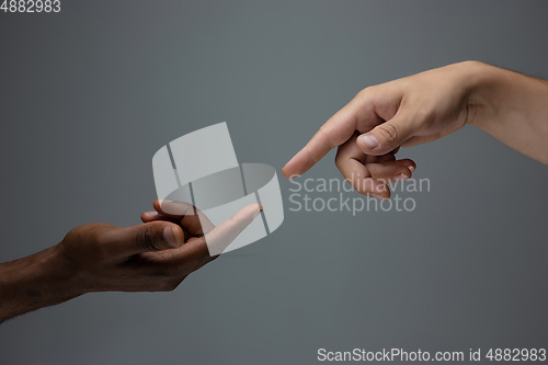 Image of Racial tolerance. Respect social unity. African and caucasian hands gesturing isolated on gray studio background