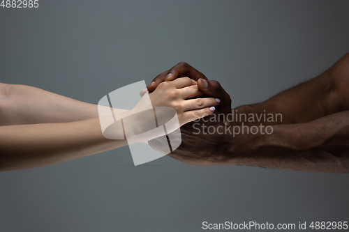 Image of Racial tolerance. Respect social unity. African and caucasian hands gesturing isolated on gray studio background