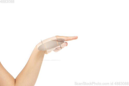 Image of Children\'s hand, palm gesturing isolated on white studio background