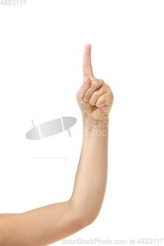 Image of Children\'s hand, palm gesturing isolated on white studio background