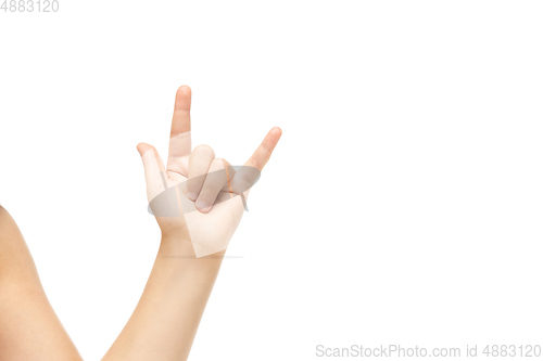 Image of Children\'s hand, palm gesturing isolated on white studio background