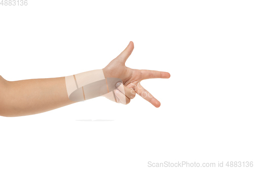 Image of Children\'s hand, palm gesturing isolated on white studio background