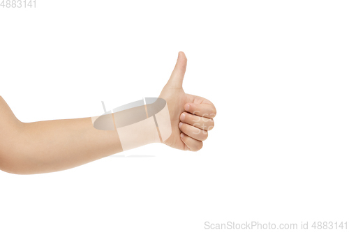 Image of Children\'s hand, palm gesturing isolated on white studio background