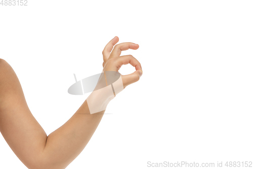 Image of Children\'s hand, palm gesturing isolated on white studio background