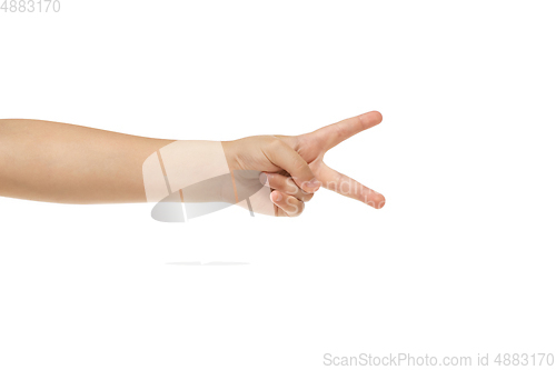 Image of Children\'s hand, palm gesturing isolated on white studio background