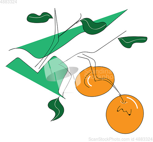 Image of Abstract vector illustration of two oranges on branch with green
