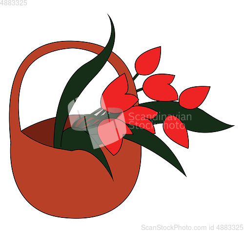 Image of A bunch of poppies vector or color illustration