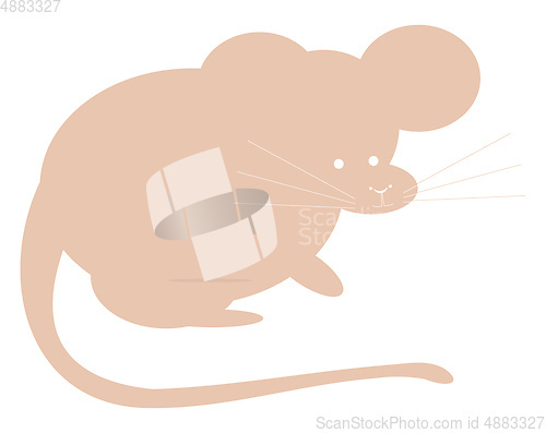 Image of Mouse vector color illustration.