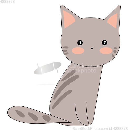 Image of Portrait of a cute grey cat sitting against white background vie