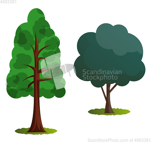 Image of Couple of green trees vector illustration on white background