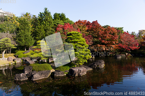 Image of Japanese garden