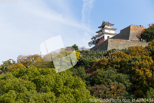 Image of Japanese Marugame Castle