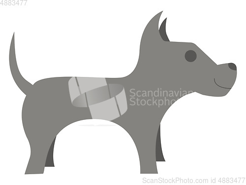 Image of A grey dog is standing vector or color illustration