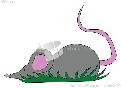 Image of Drawing of a cute little grey mouse set on isolated white backgr