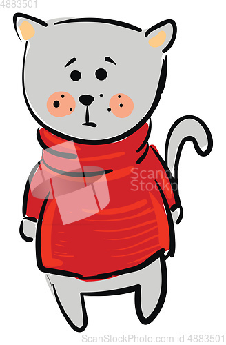 Image of Cat wearing red sweater 