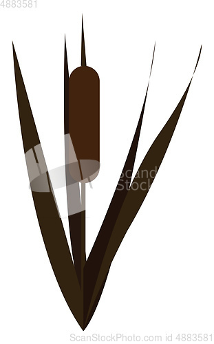Image of A green bamboo vector or color illustration