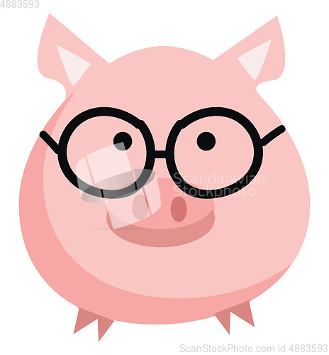 Image of Pink pig with round eyeglasses vector illustration on white back