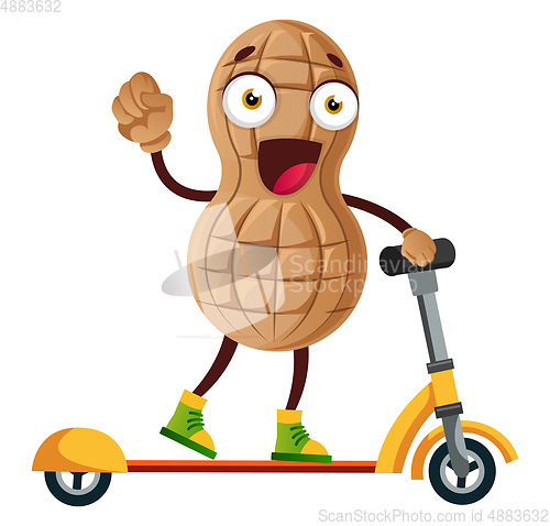 Image of Peanut riding electric scooter, illustration, vector on white ba