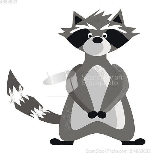 Image of A long tail raccoon is standing vector or color illustration