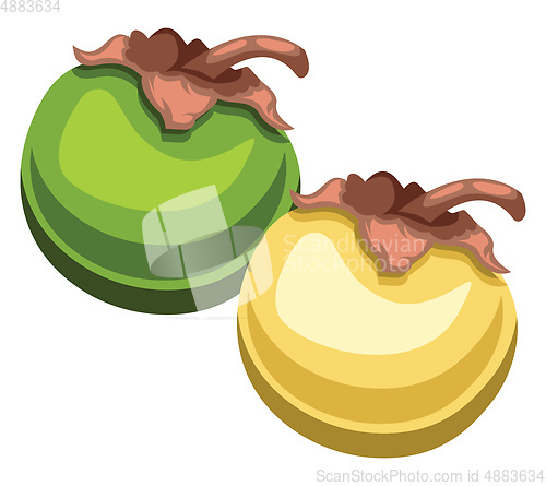 Image of Vector illustyartion of nance fruit green and yellow with brown 