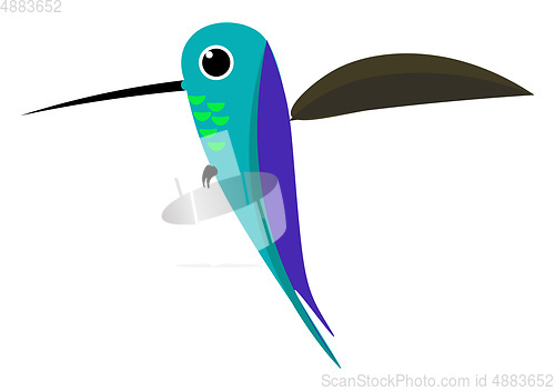 Image of Cartoon colorful colibri bird vector or color illustration