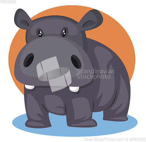 Image of Gey Pig, vector color illustration.