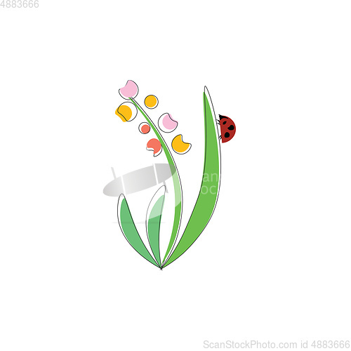 Image of Ladybug and the flowerillustration vector on white background