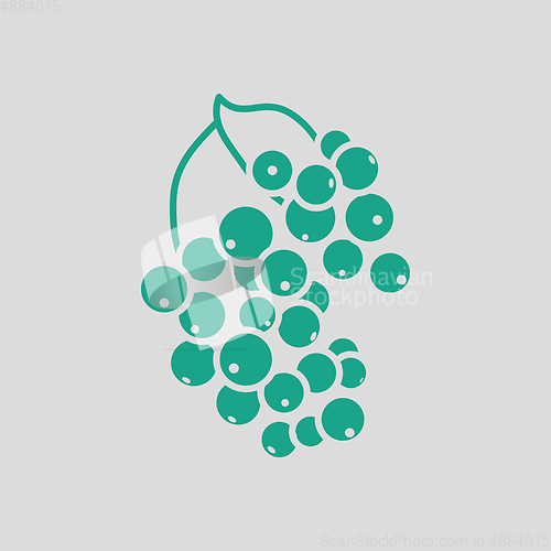 Image of Black currant icon