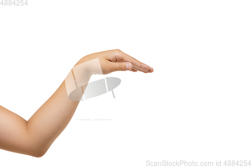 Image of Children\'s hand, palm gesturing isolated on white studio background