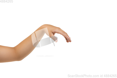 Image of Children\'s hand, palm gesturing isolated on white studio background
