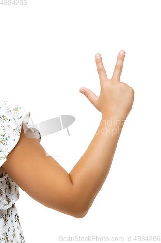 Image of Children\'s hand, palm gesturing isolated on white studio background