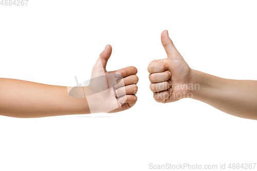 Image of Children\'s hand, palm gesturing isolated on white studio background