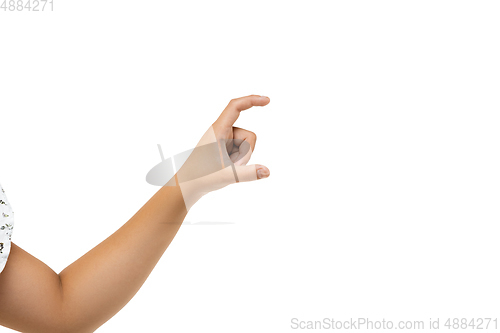 Image of Children\'s hand, palm gesturing isolated on white studio background