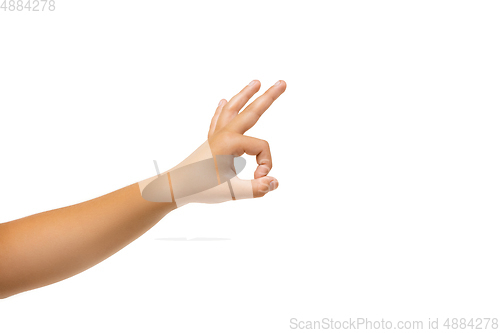 Image of Children\'s hand, palm gesturing isolated on white studio background