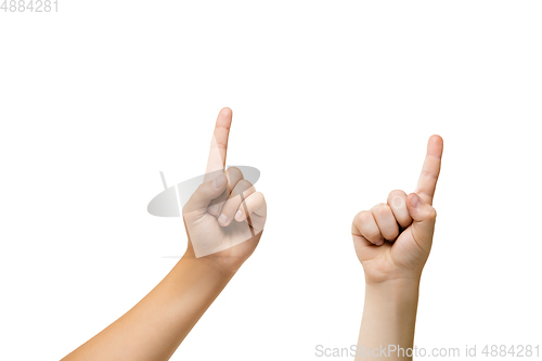 Image of Children\'s hand, palm gesturing isolated on white studio background