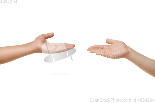 Image of Children\'s hand, palm gesturing isolated on white studio background