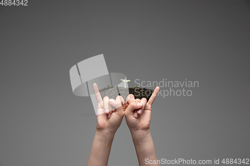 Image of Human hands holding a fresh green plant, symbol of growing business, environmental conservation and bank savings. Planet in your hands.