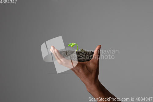 Image of Human hands holding a fresh green plant, symbol of growing business, environmental conservation and bank savings. Planet in your hands.