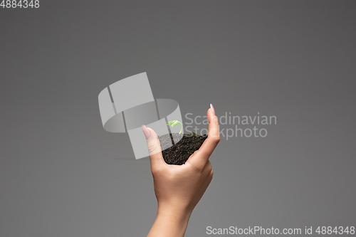 Image of Human hands holding a fresh green plant, symbol of growing business, environmental conservation and bank savings. Planet in your hands.